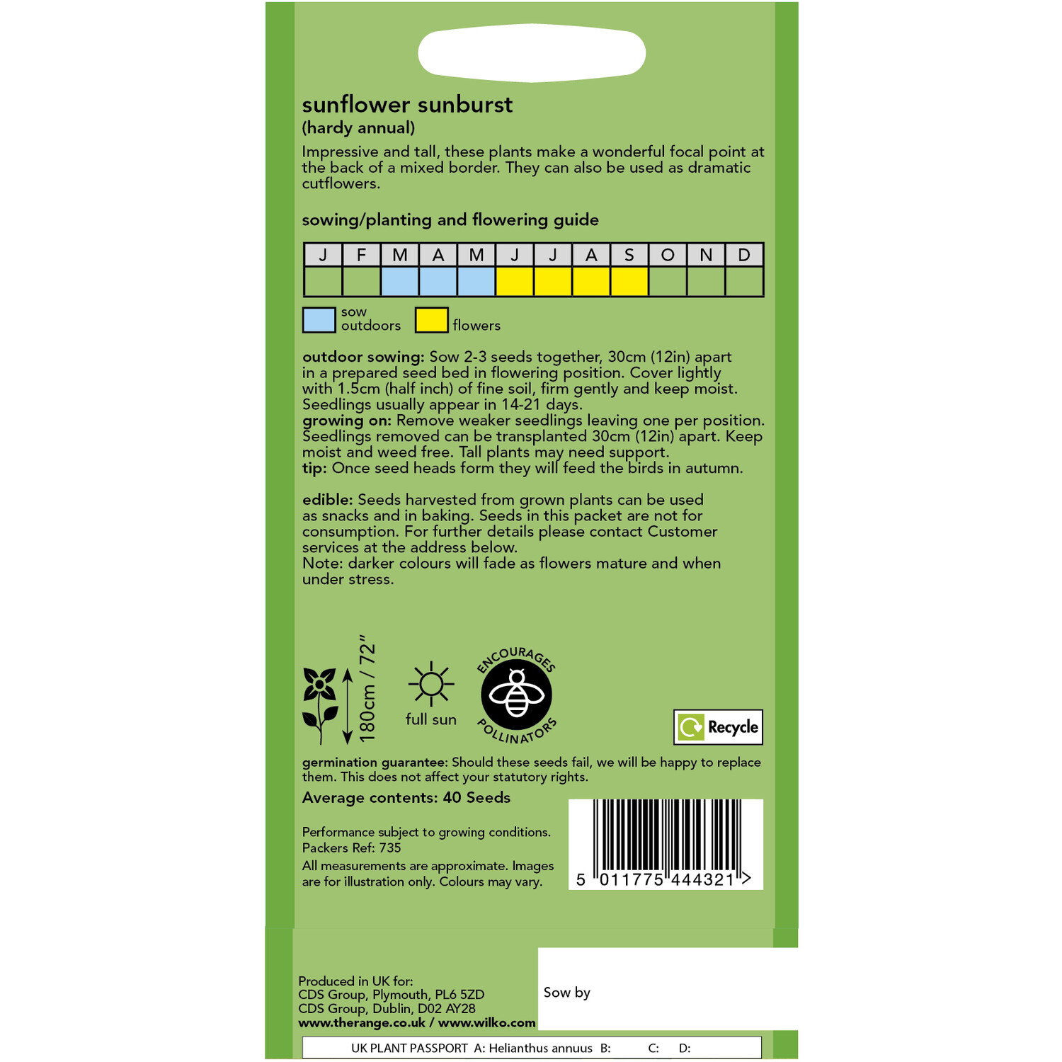 Wilko Sunflower Sunburst Seeds Image 2