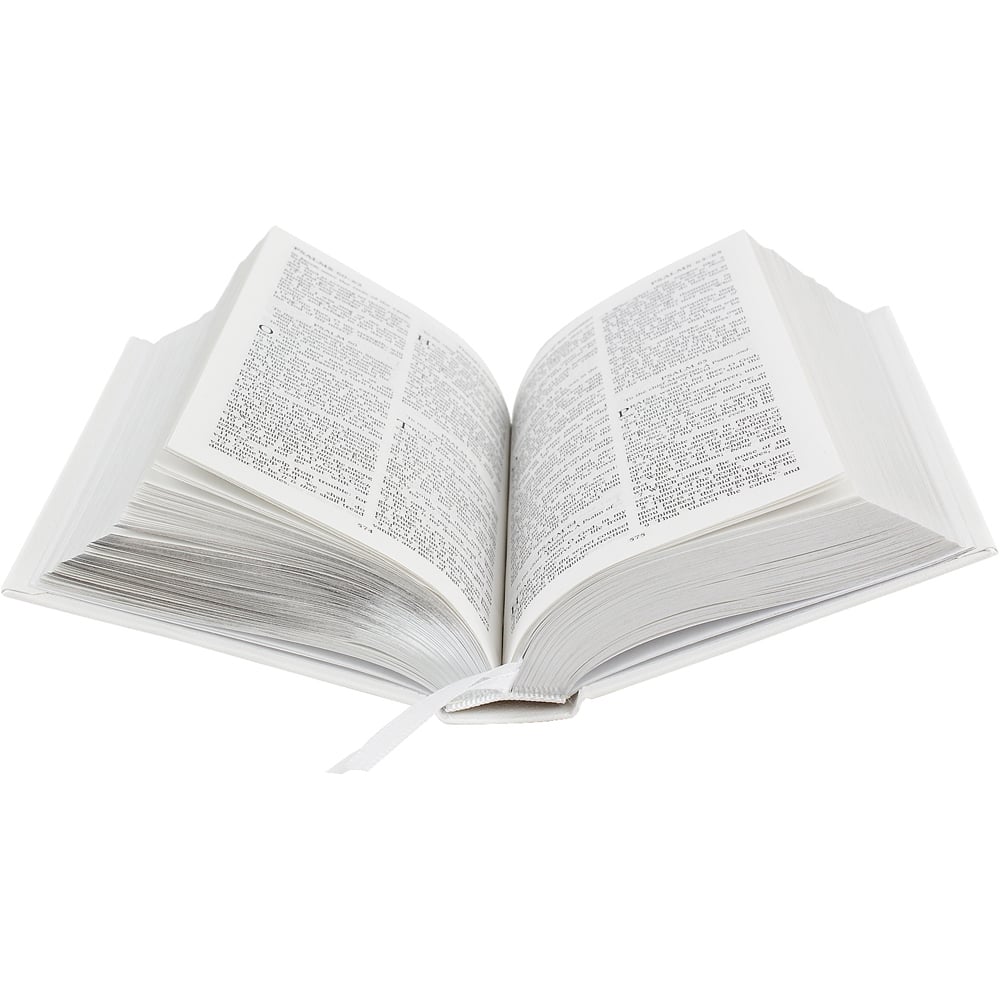 Personalised Memento Personalised Silver Companion Eco Friendly Holy Bible Image 3