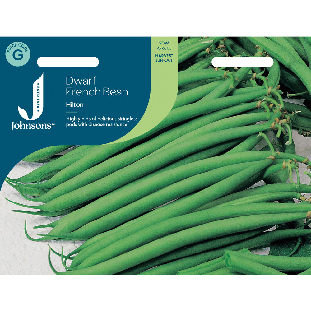 Dwarf French Bean Hilton Seeds Image 1