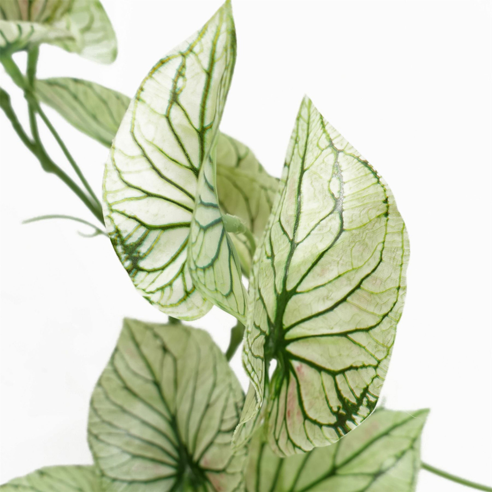 Leaf Trailing Variegated Potted Alocasia Artificial Plant in Pot 30cm Image 3