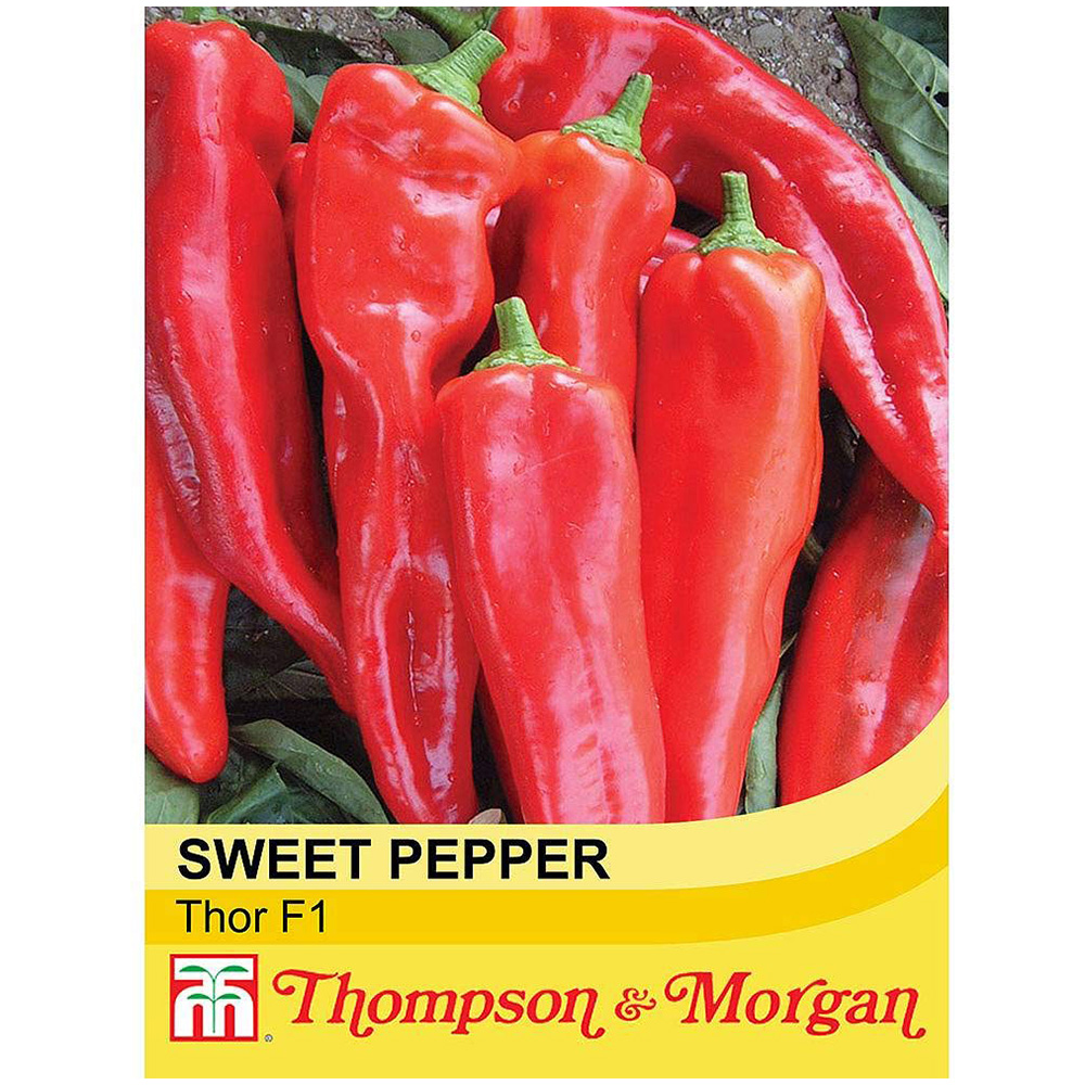 Thompson and Morgan Pepper Sweet Thor F1 Hybrid Seeds Image 2