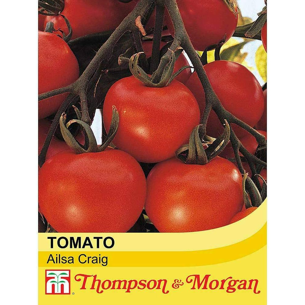 Thompson & Morgan Tomato Ailsa Craig 50 Seeds Packet Image 2
