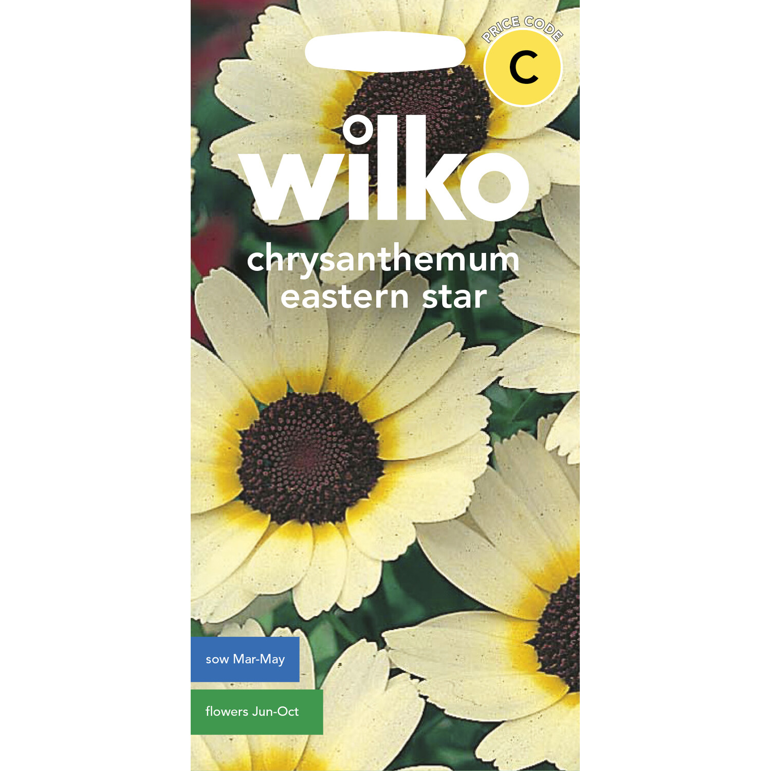 wilko Chrysanthemum Eastern Star Seeds Image 1