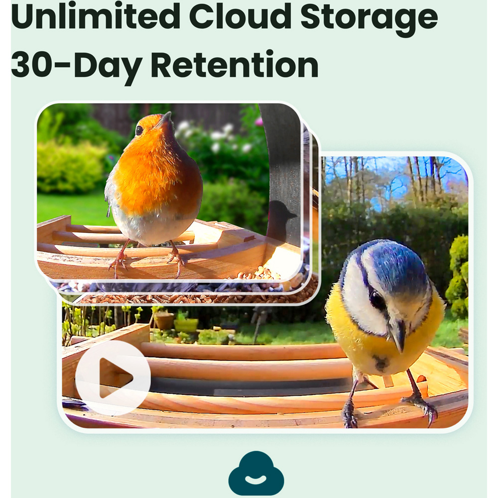 Birdfy Bamboo Smart Solar Roof Bird Feeder with 1080p AI Camera Image 2
