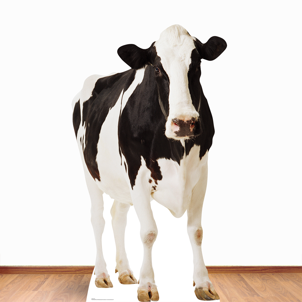 Star Cutouts Cow Cardboard Cutout 5.5ft Image 2