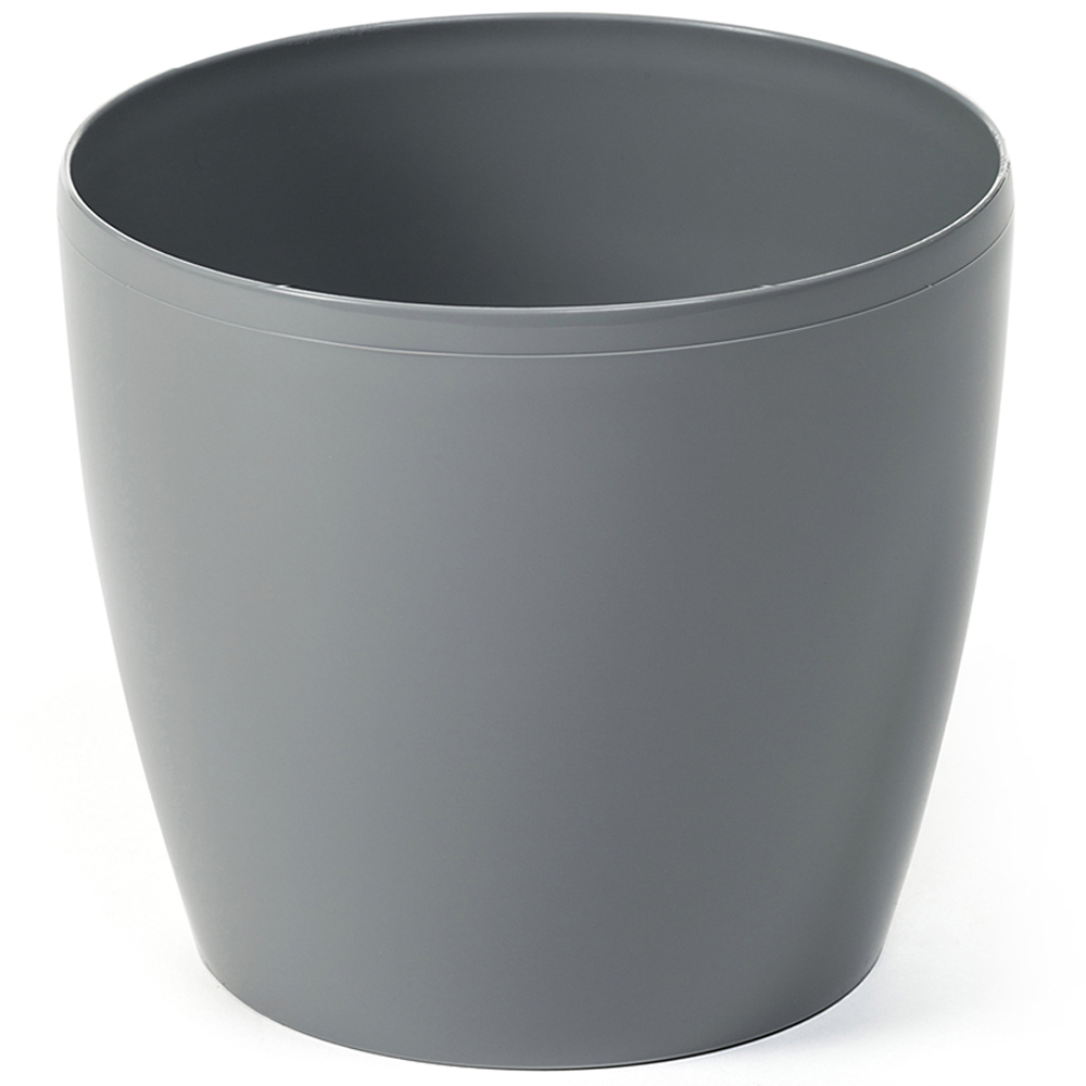 YouGarden Areca Palm with Grey Pot Cover Image 3
