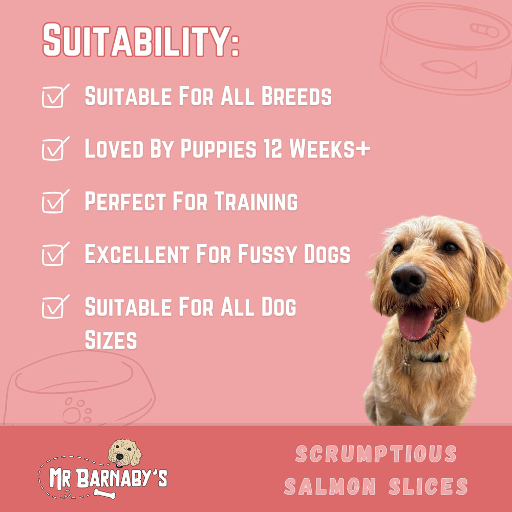 Mr Barnaby's Scrumptious Salmon Slices Dog Treats 6 Pack Image 5