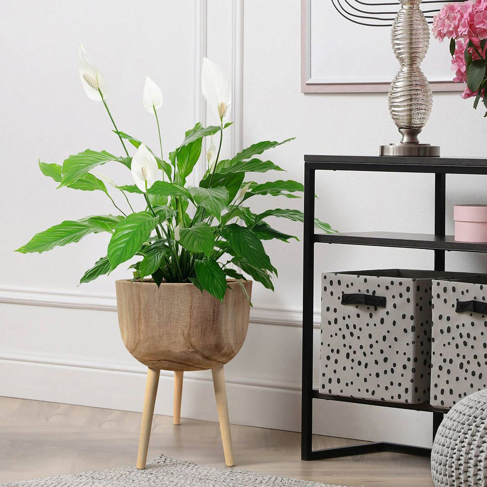 LECHUZA Hortico Gaia Wooden Round Indoor Plant Pot 43 x 29cm 2 Pack Image 2