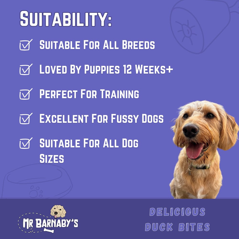 Mr Barnaby's Delicious Duck Bites Dog Treats 4 Pack Image 5