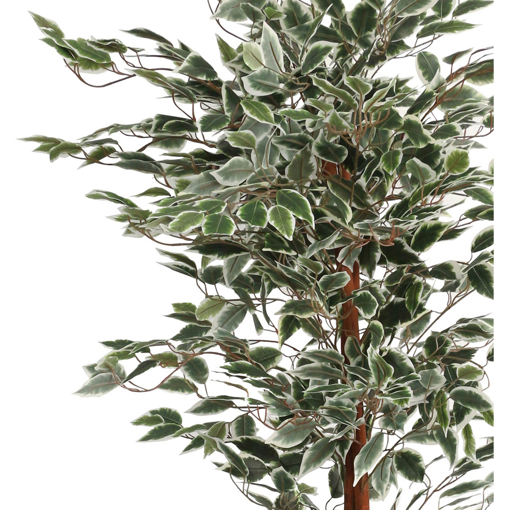 Leaf Ficus Natural Variegated Leaves Artificial Plant Pot 160cm Image 2