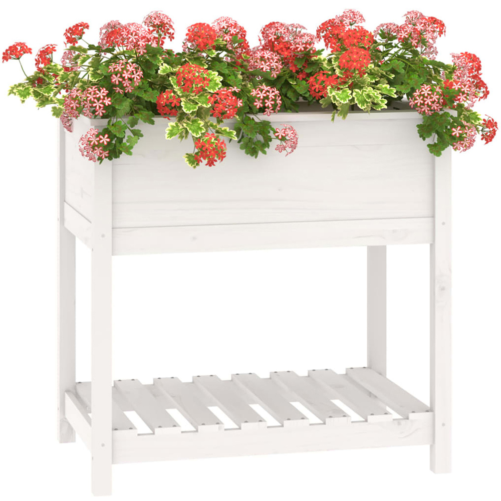 vidaXL White Solid Pine Raised Garden Planter 82.5 x 54 x 81cm Image 3