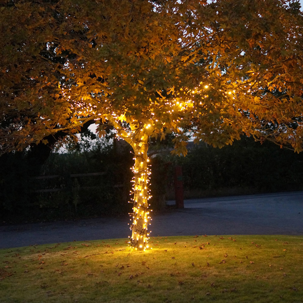 Eagle Connect 500 Gold LED Black Cluster Light 10m Image 5