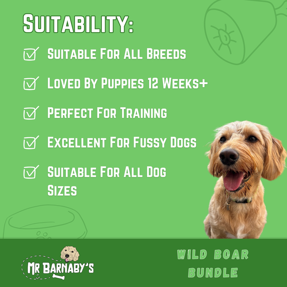 Mr Barnaby's Wild Boar Dog Treats Bundle 2 Pack Image 5
