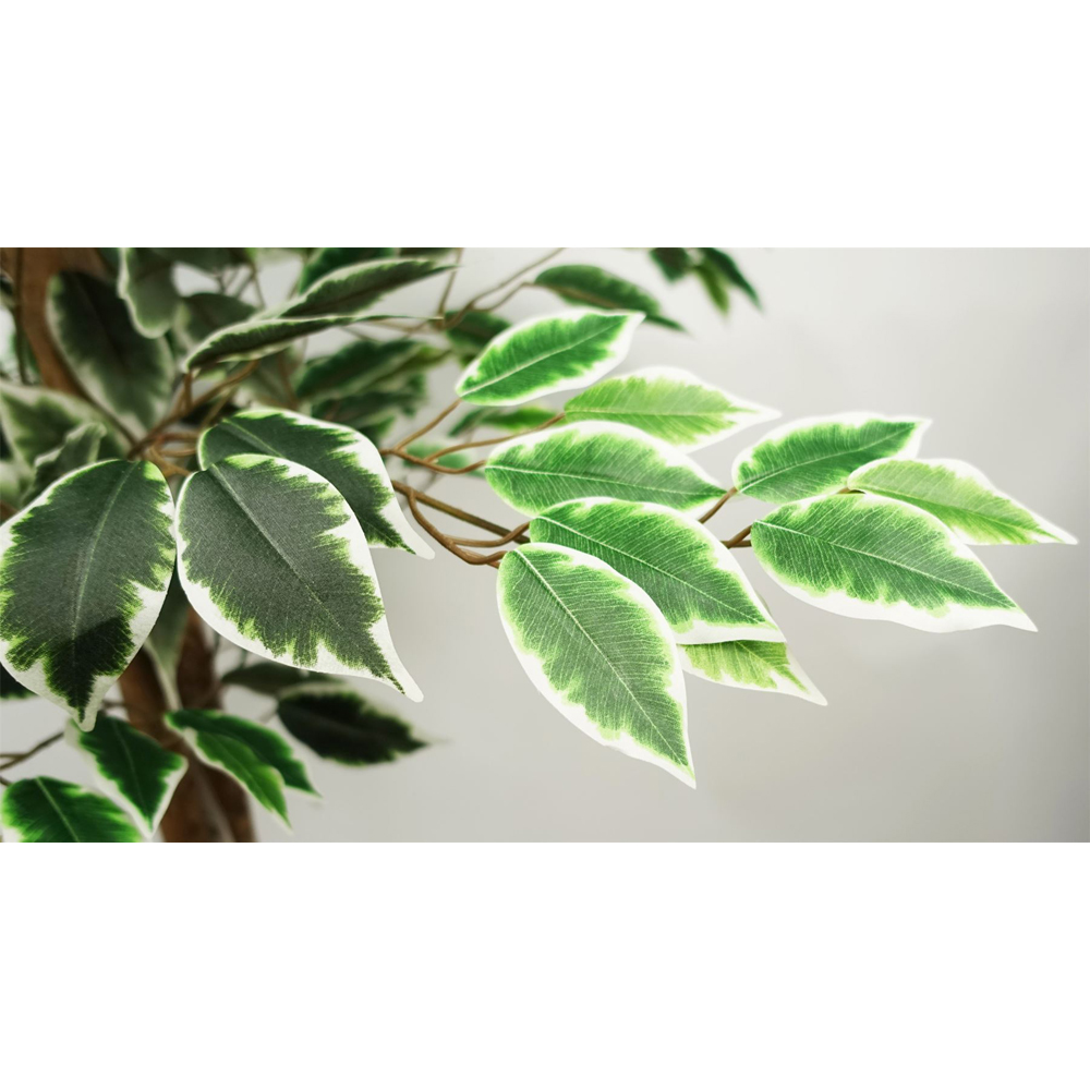Botanik Ficus Artificial Tree in Pot 5ft Image 6