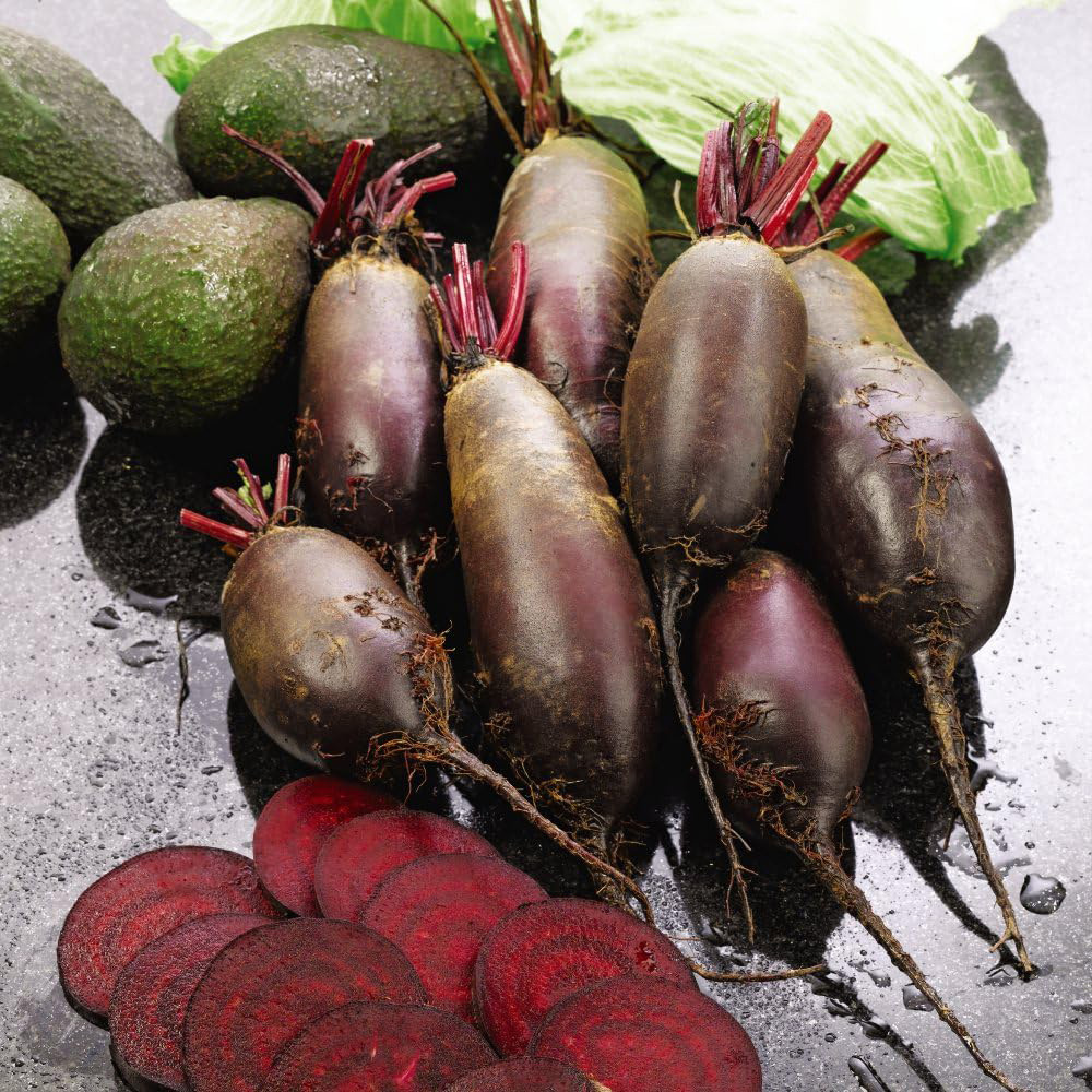 Thompson and Morgan Beetroot Cylindra Seeds Image 2