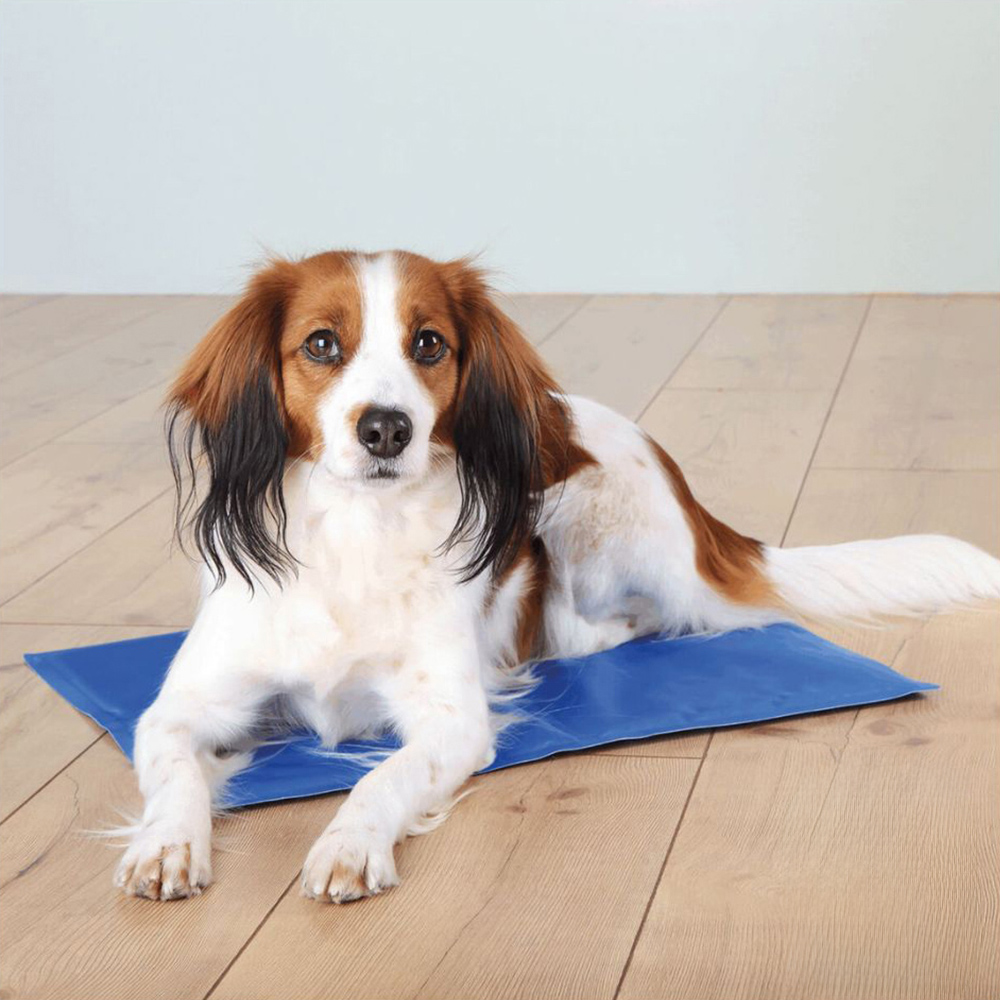 Trixie XL-XXL Blue Cooling Mat Image 2