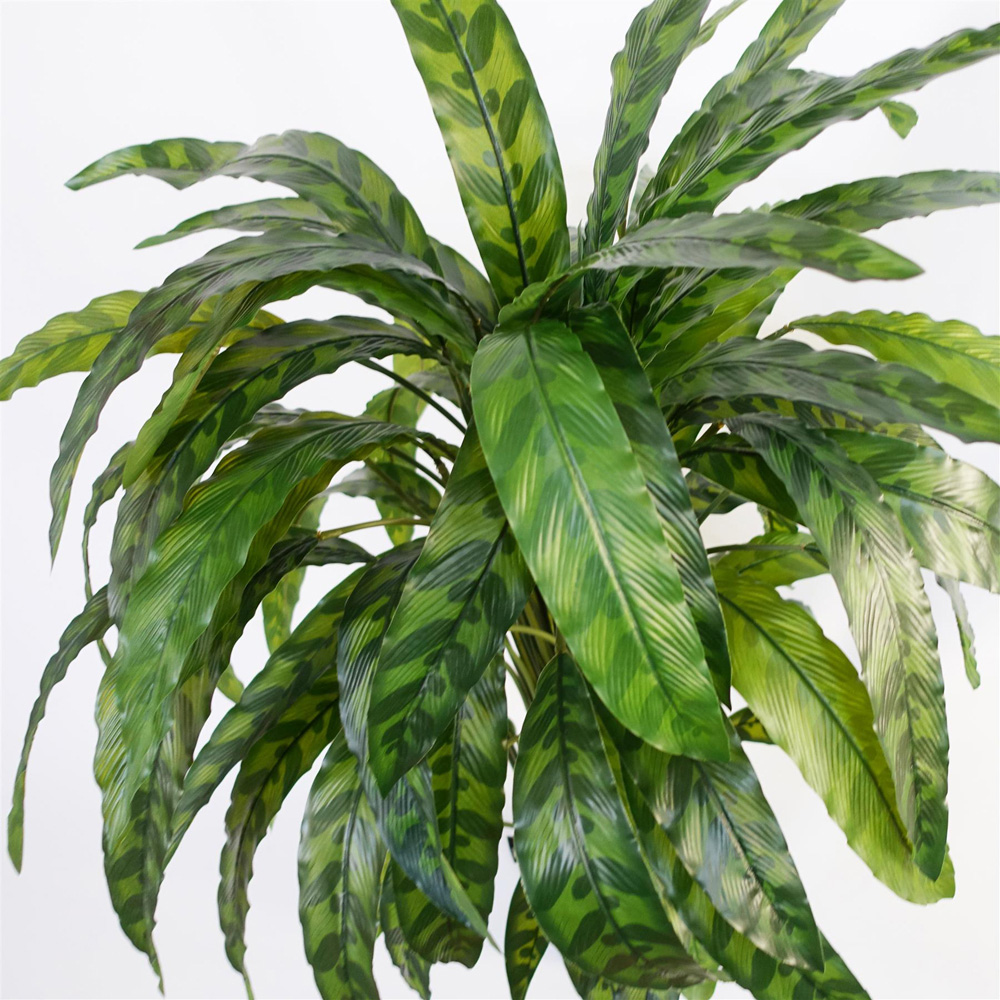 Leaf Green Variegated Calathea Artificial Plant Pot 2.9ft Image 5