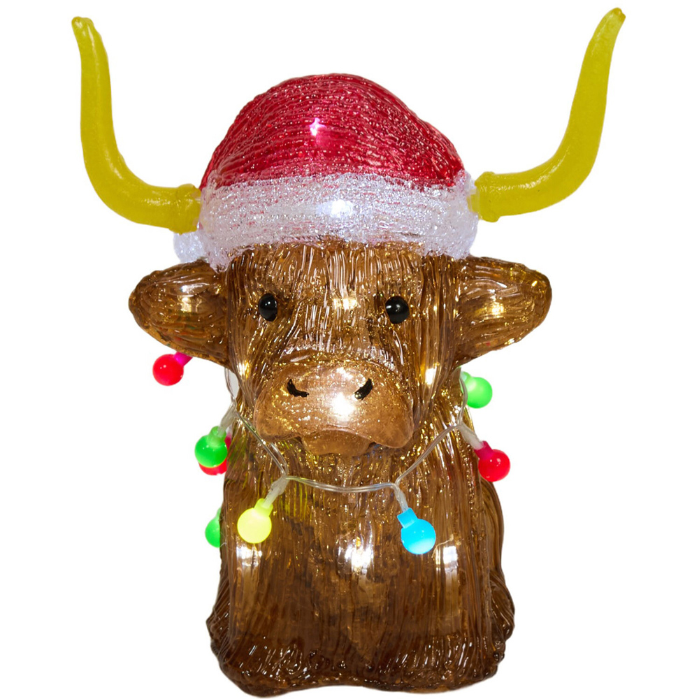 Acrylic Highland Cow Decoration Image 4