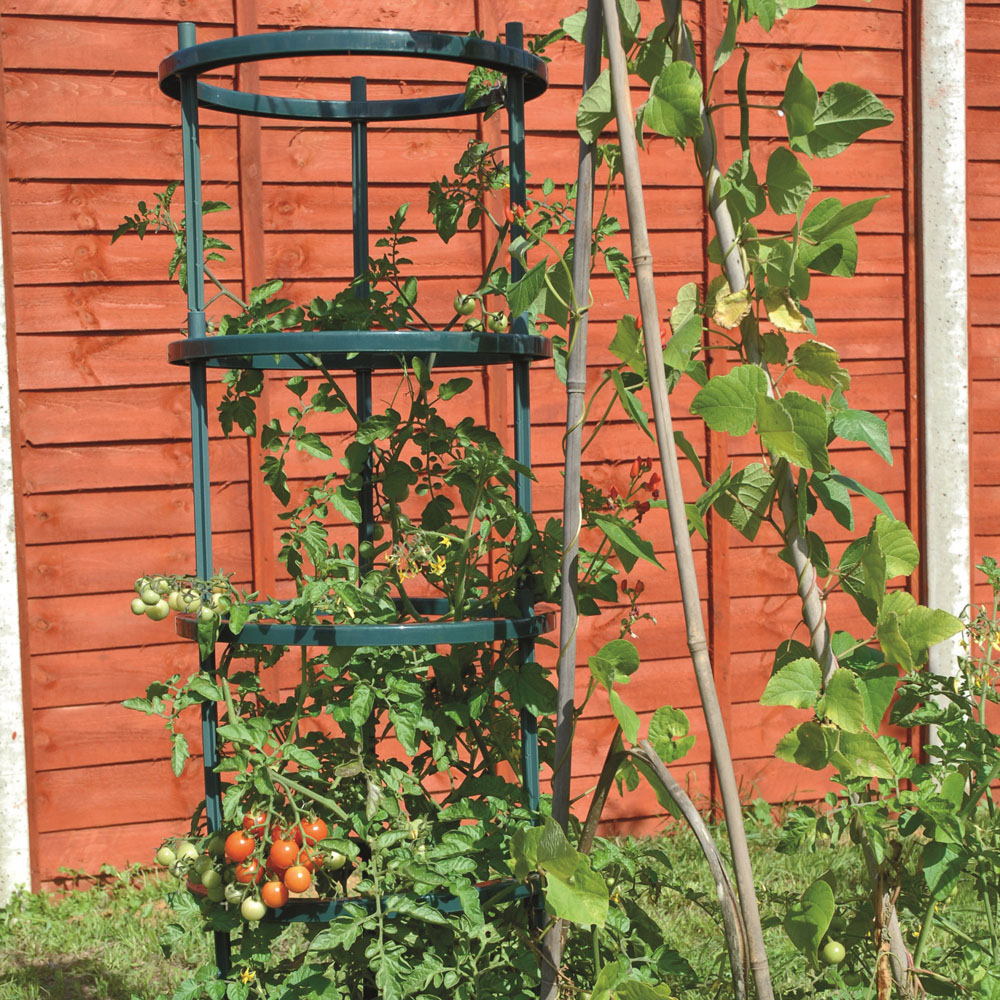 Garden Gear 5 Tier Tomato Growing Support Frame 3 Pack Image 2