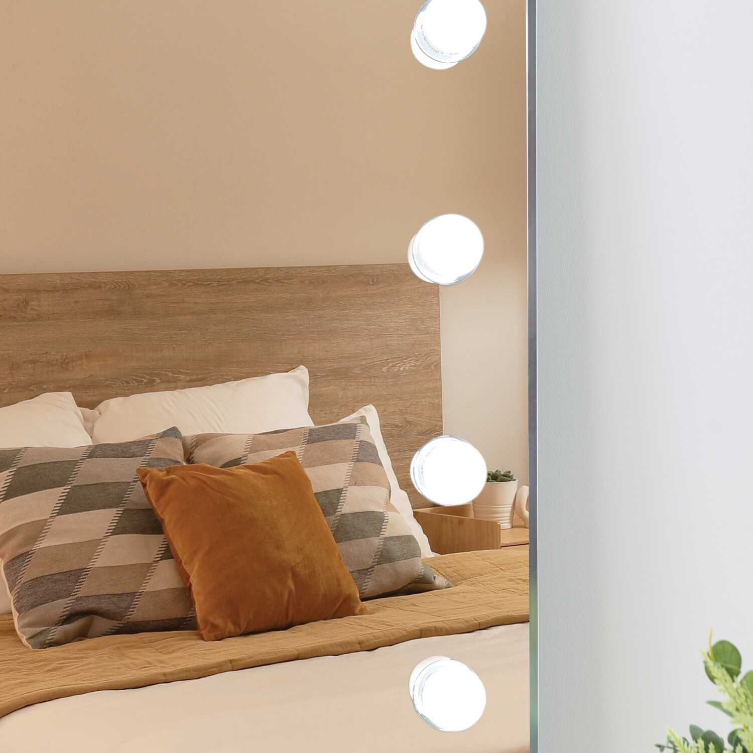 Full Length Hollywood Mirror Image 3