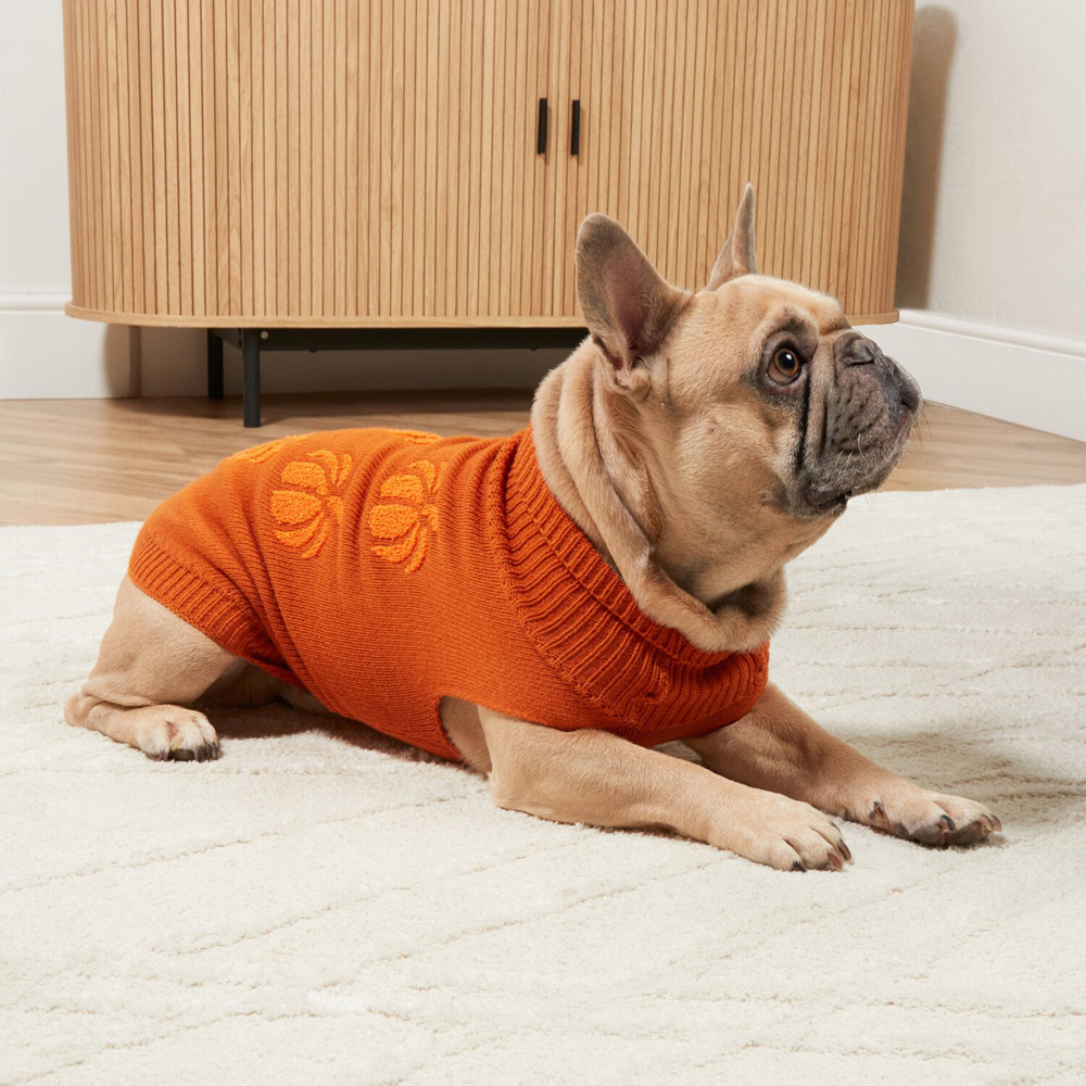 Pumpkin Jumper Orange 31cm Image 2