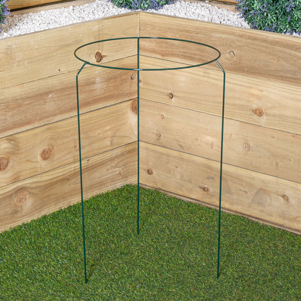 Samuel Alexander Metal Herbaceous Plant Support Ring 40 x 60cm Image 2