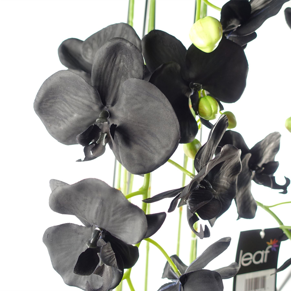 Botanik Large Black Orchid Artificial Plant in Pot 3.6ft Image 3