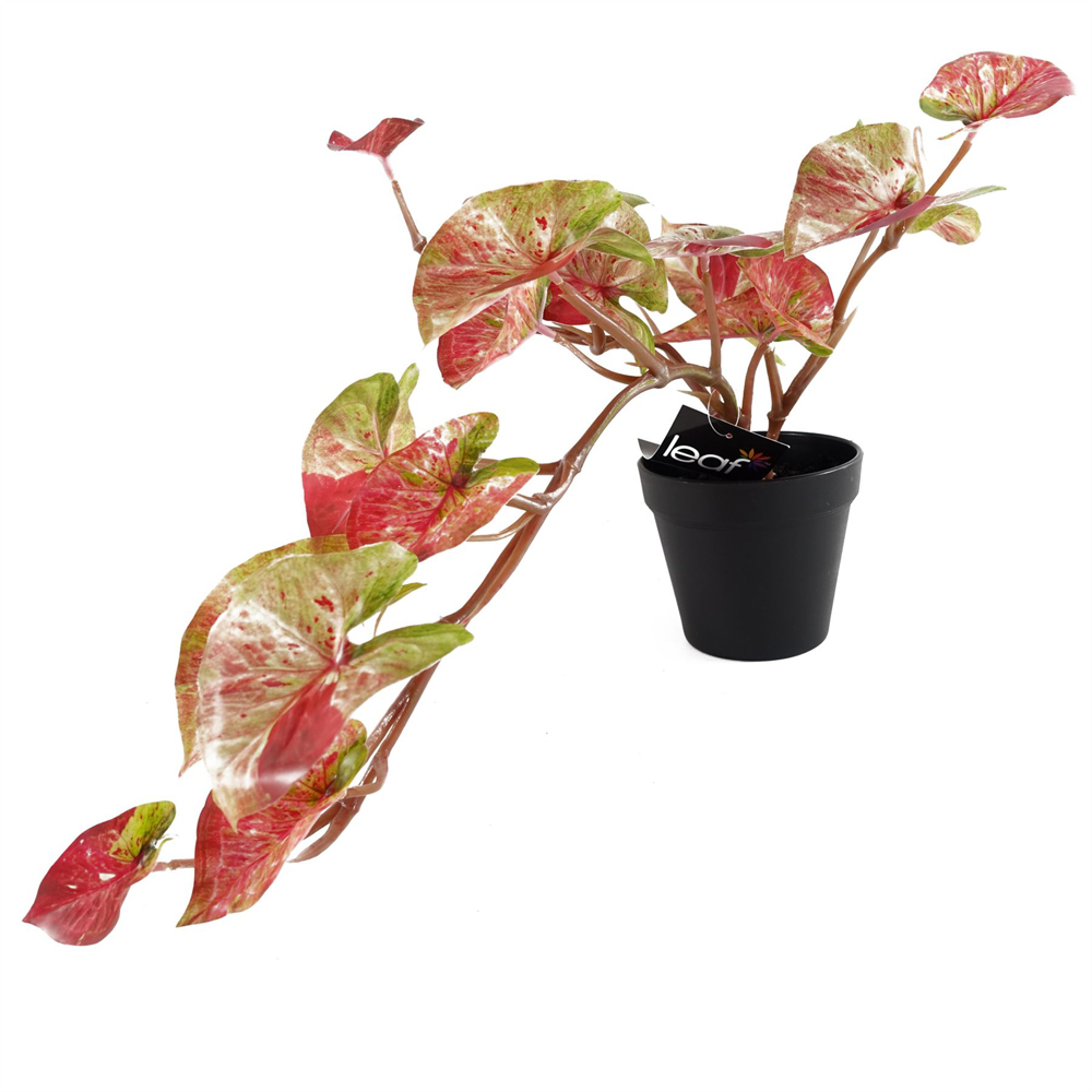 Leaf Pink Trailing Splash Caladium Hanging Artificial Plant 35cm Image 3