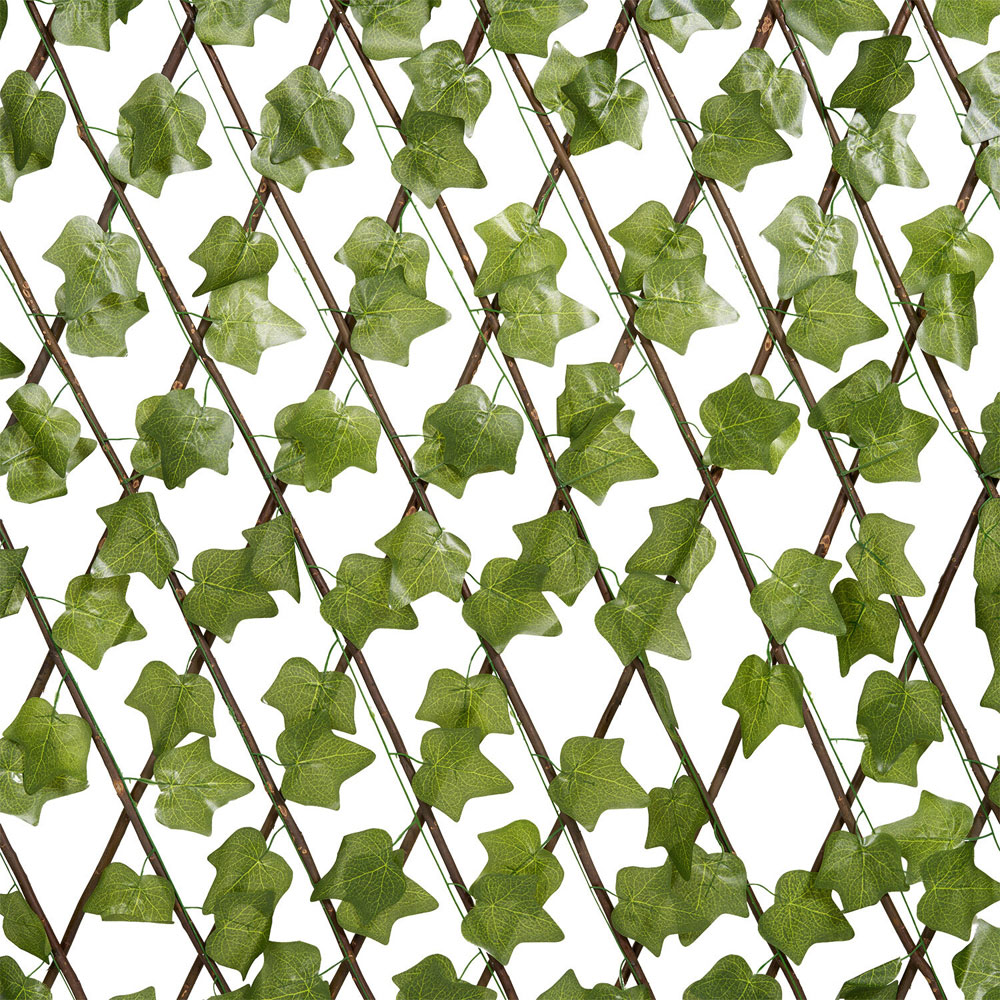 Expanding Ivy Leaf Trellis Image 3