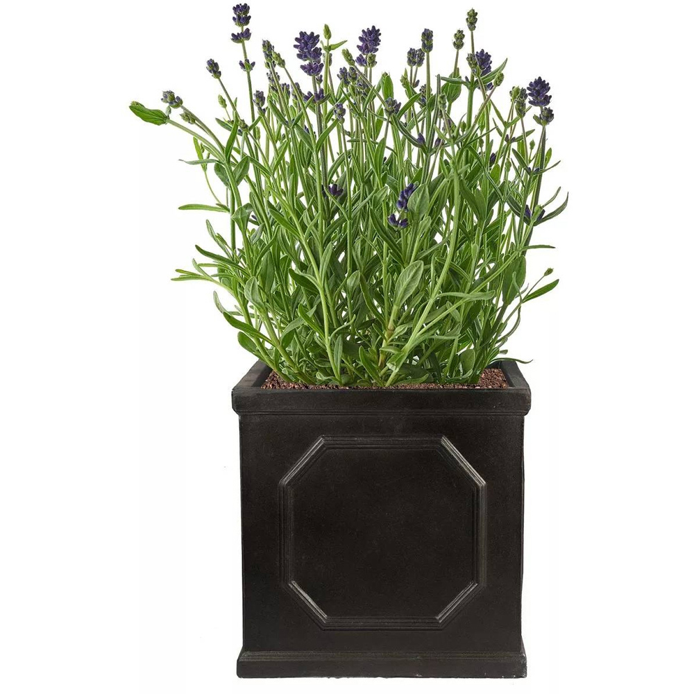 wilko Chelsea Dark Grey Light Stone Outdoor Planter 22cm Image 3