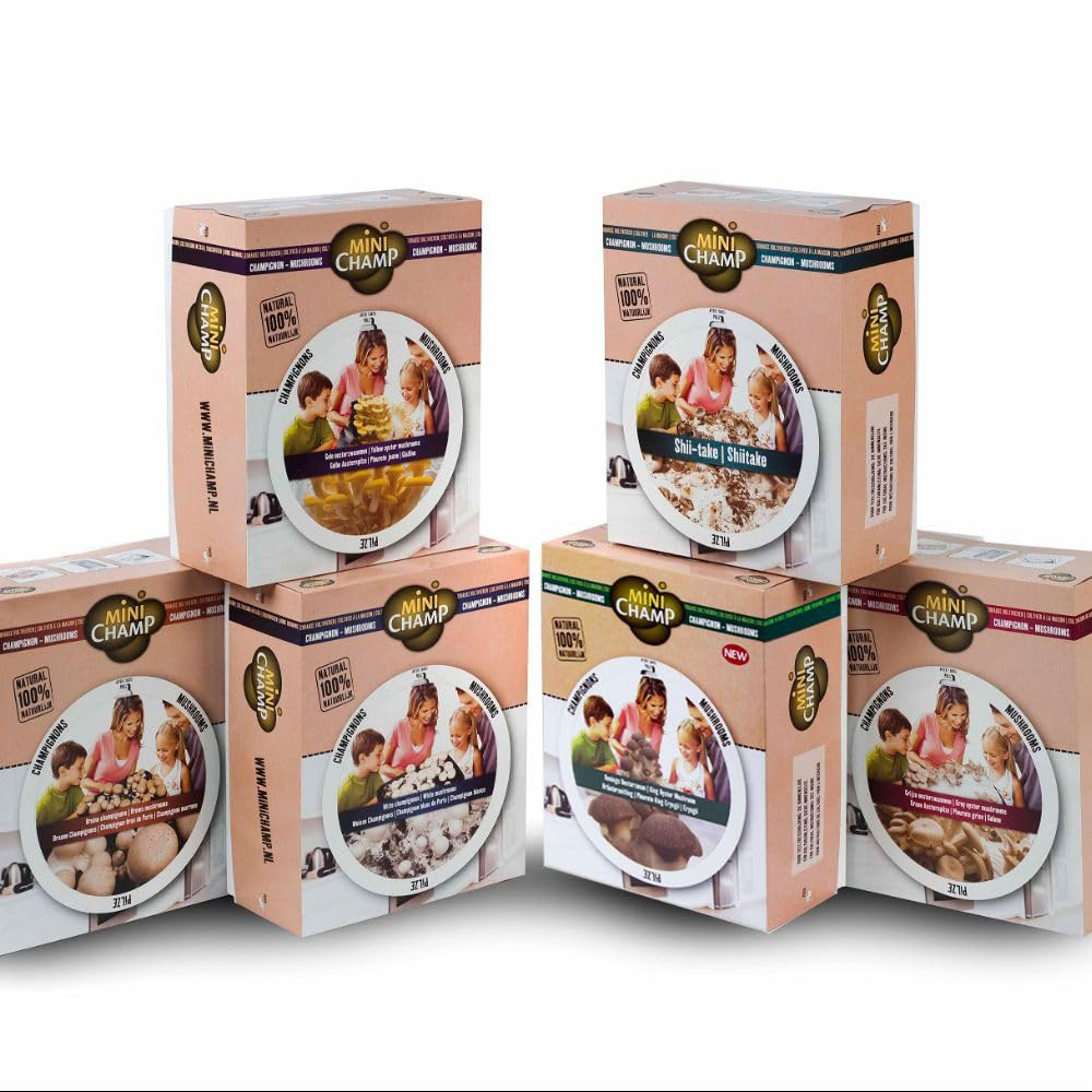 Thompson and Morgan Gift Grey Oyster Mushroom Prepack Windowsill Kit 3L Image 4