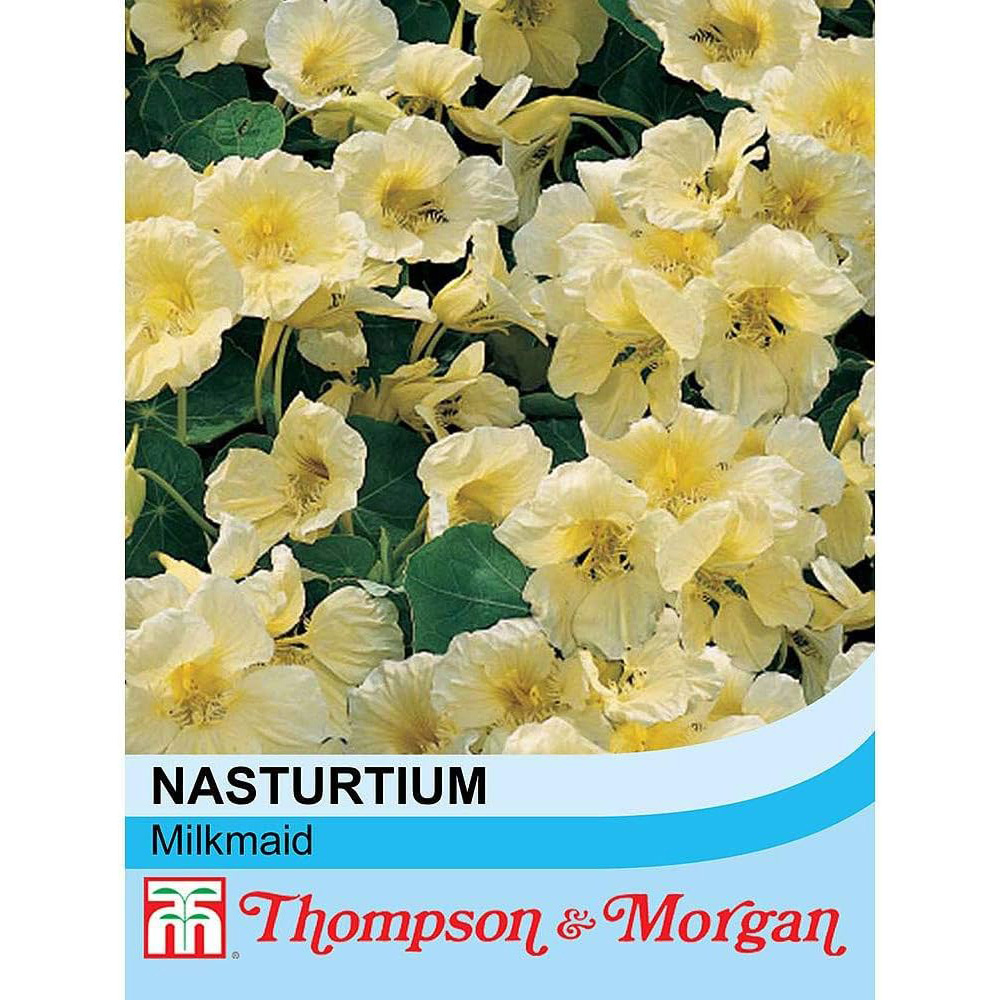 Thompson & Morgan Nasturtium Milkmaid 30 Seeds Packet Image 2