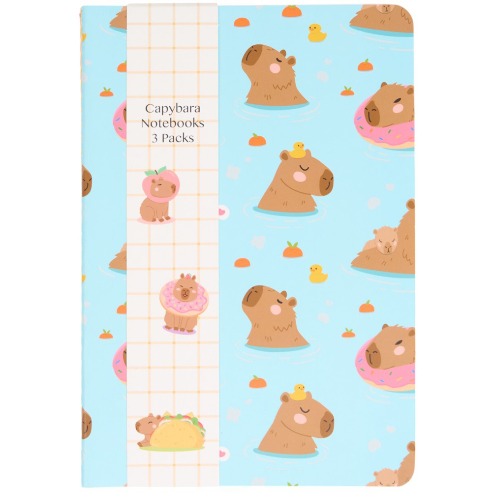 Pack of 3 Capybara Notebooks Image 4