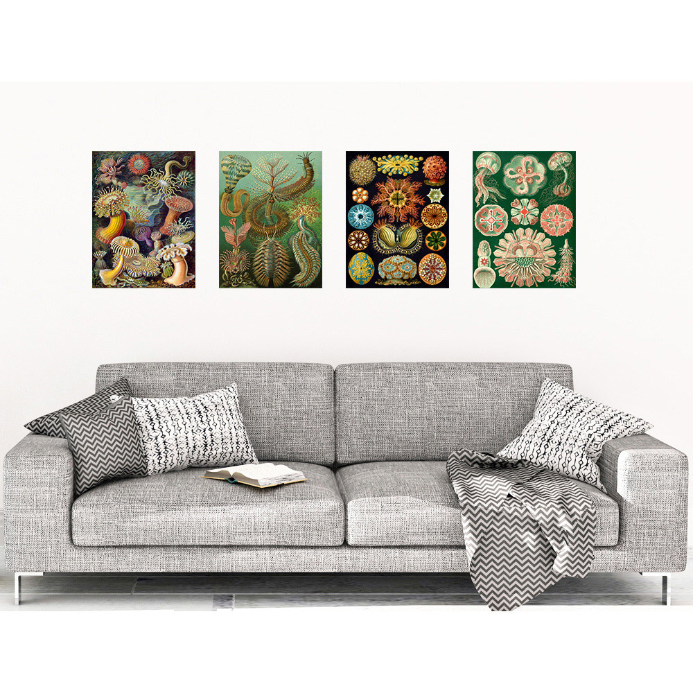 Artery8 Vintage Ernst Haeckel Botanical Colourful Wall Art Print 30 x 41cm 4 Pack Image 2