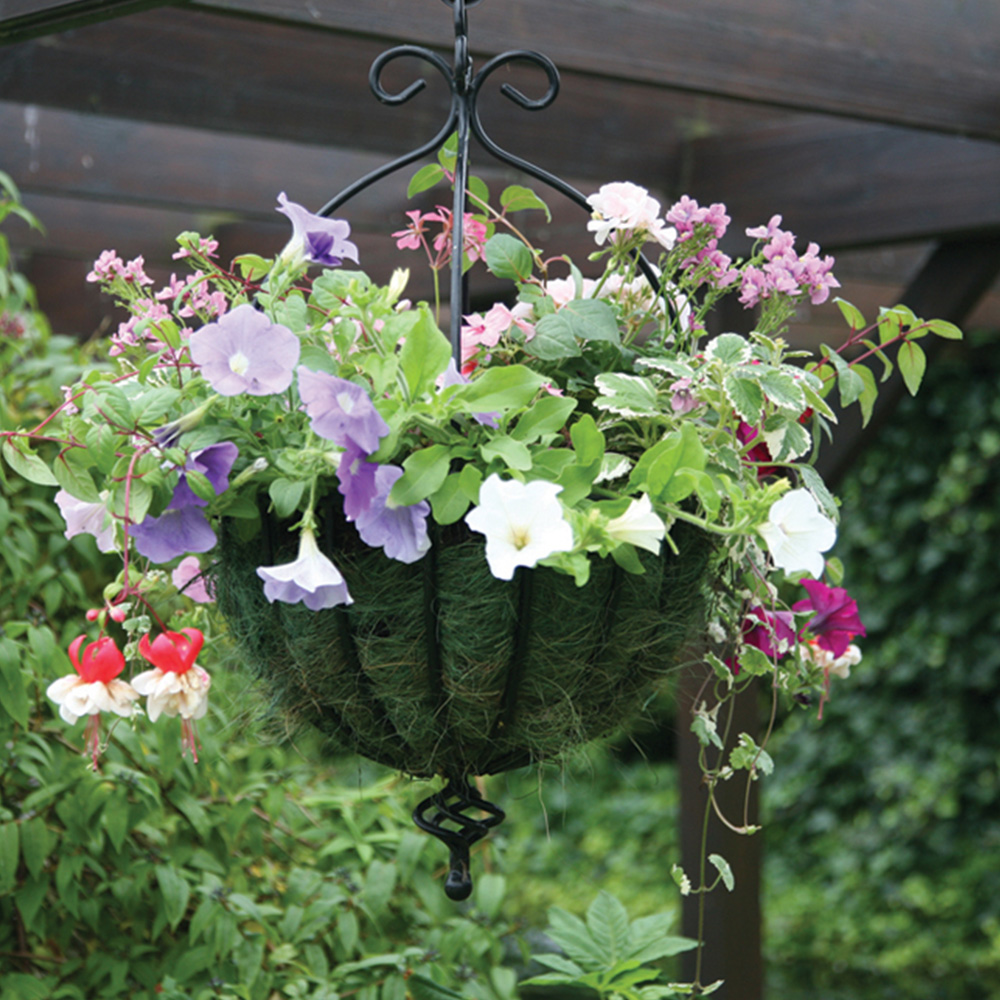 Tom Chambers Black Metal Garden Wall Hanging Basket 35cm Image 2
