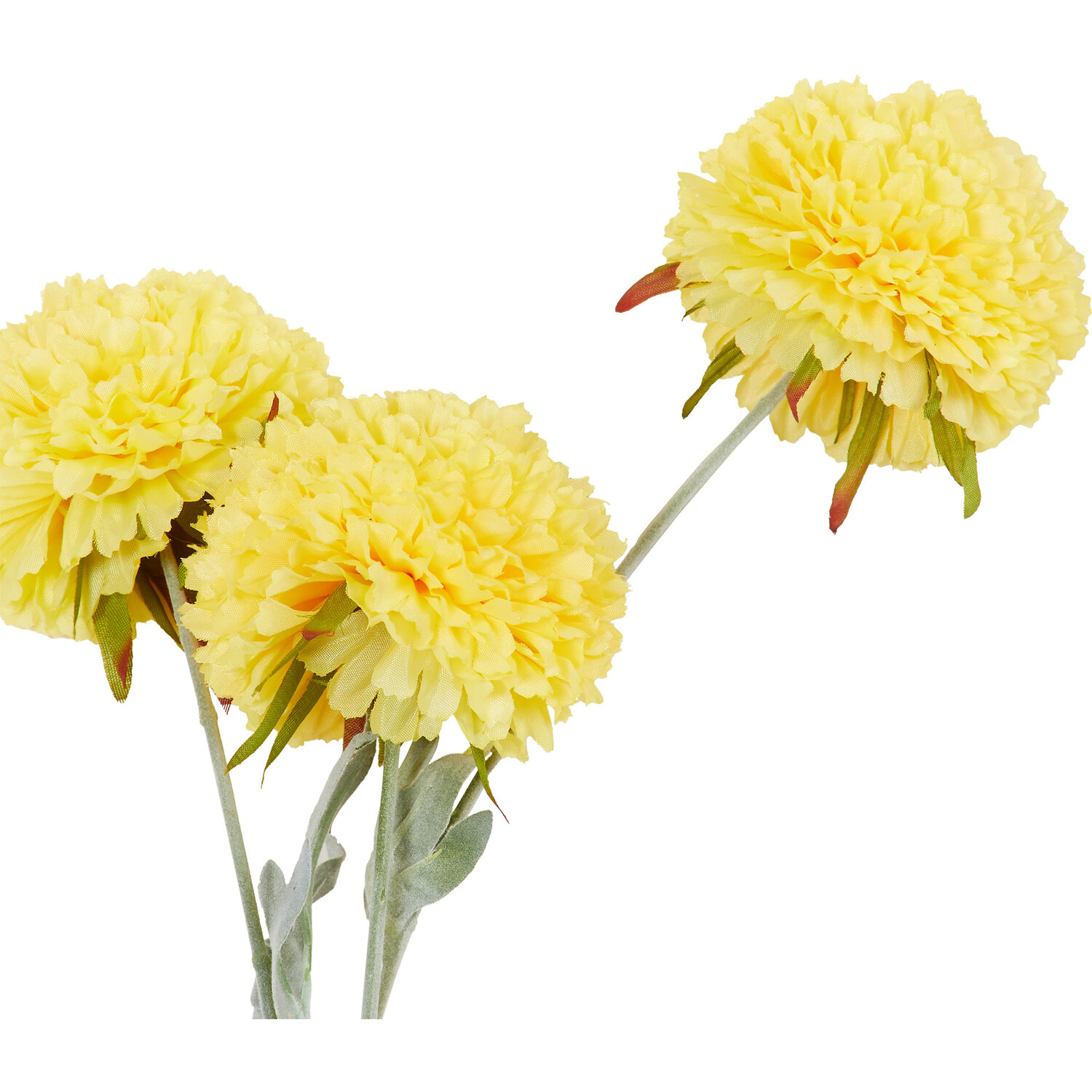 Vintage Stem Image 2