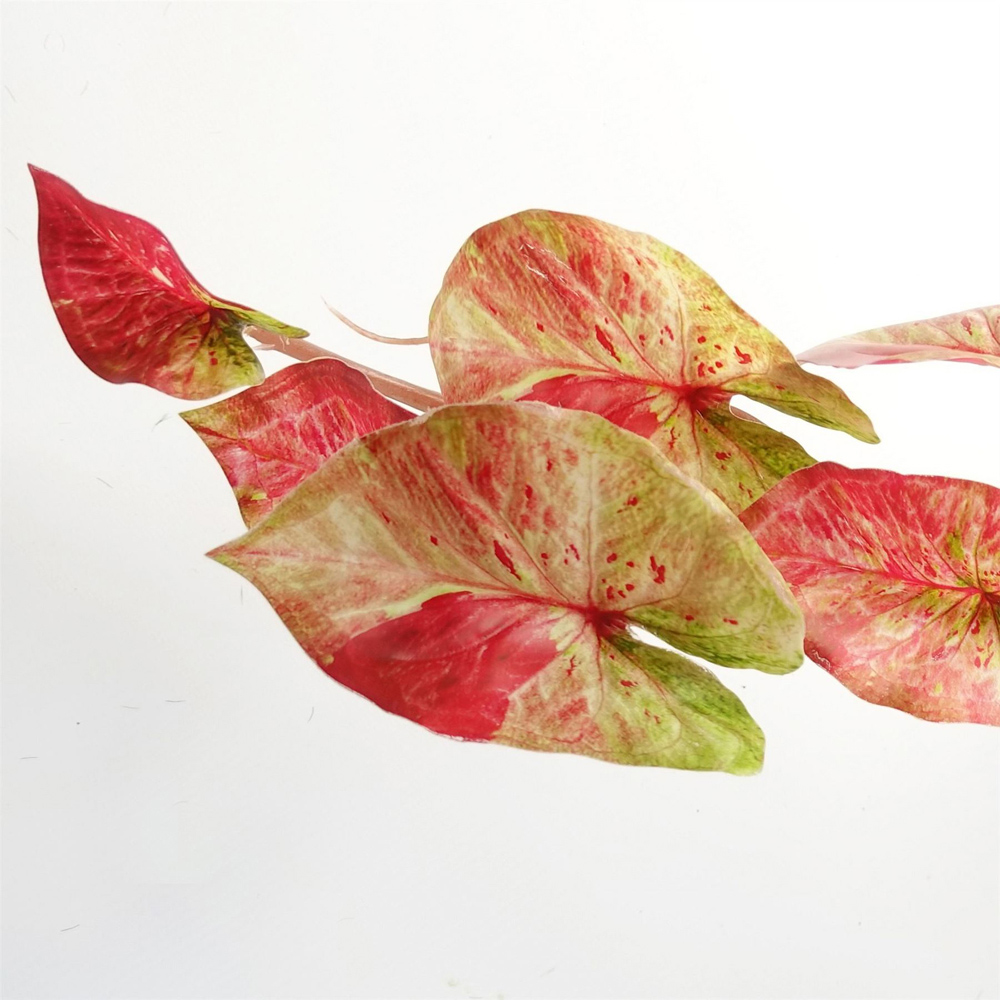 Leaf Trailing Pink Splash Caladium Artificial Plant in Pot 35cm Image 3