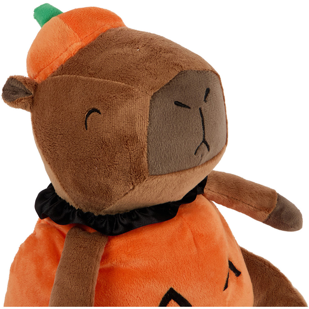 Capybara Pumpkin Plush Toy Image 4
