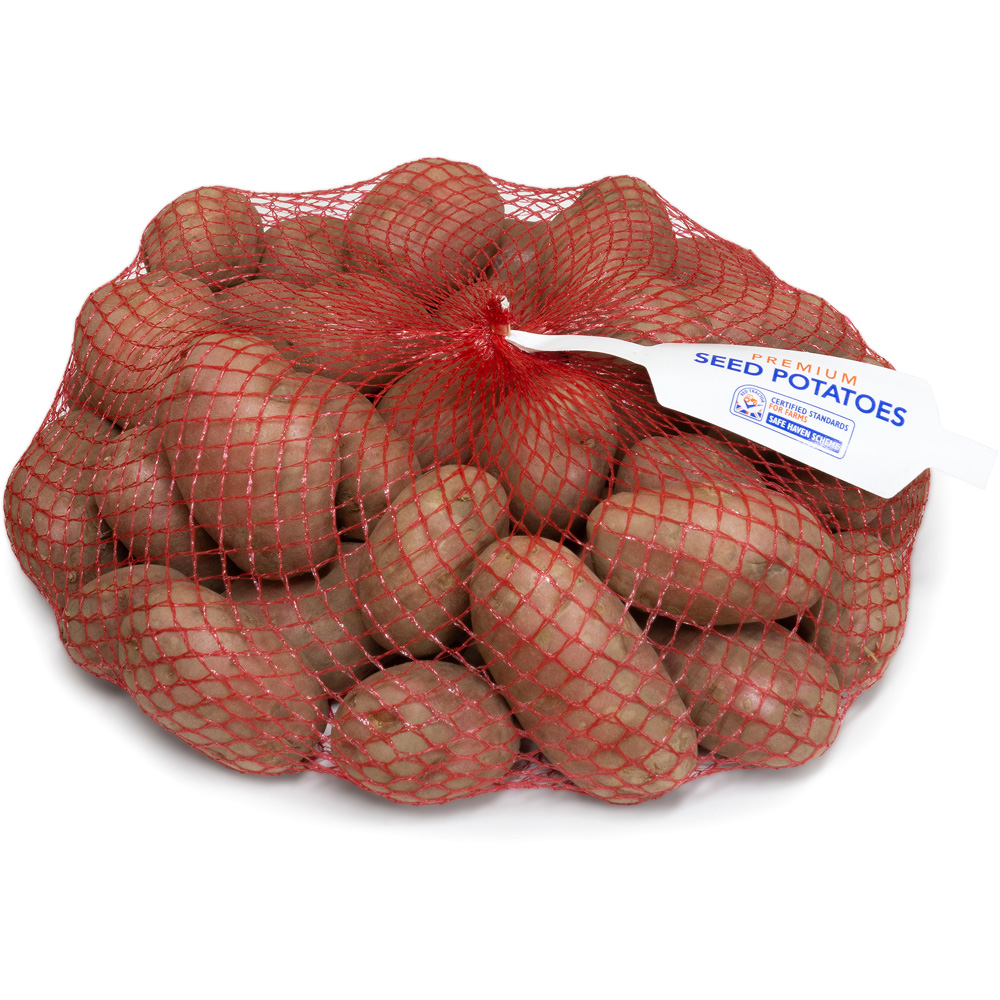 wilko Desiree Seed Potato Tubers Maincrop 2.5kg Image 2