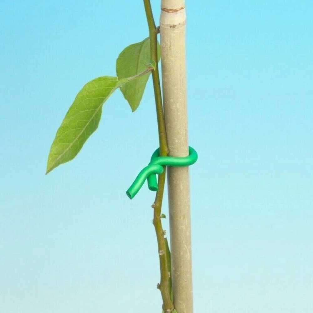 Garden Mile Plant twist Ties 8m Image 3