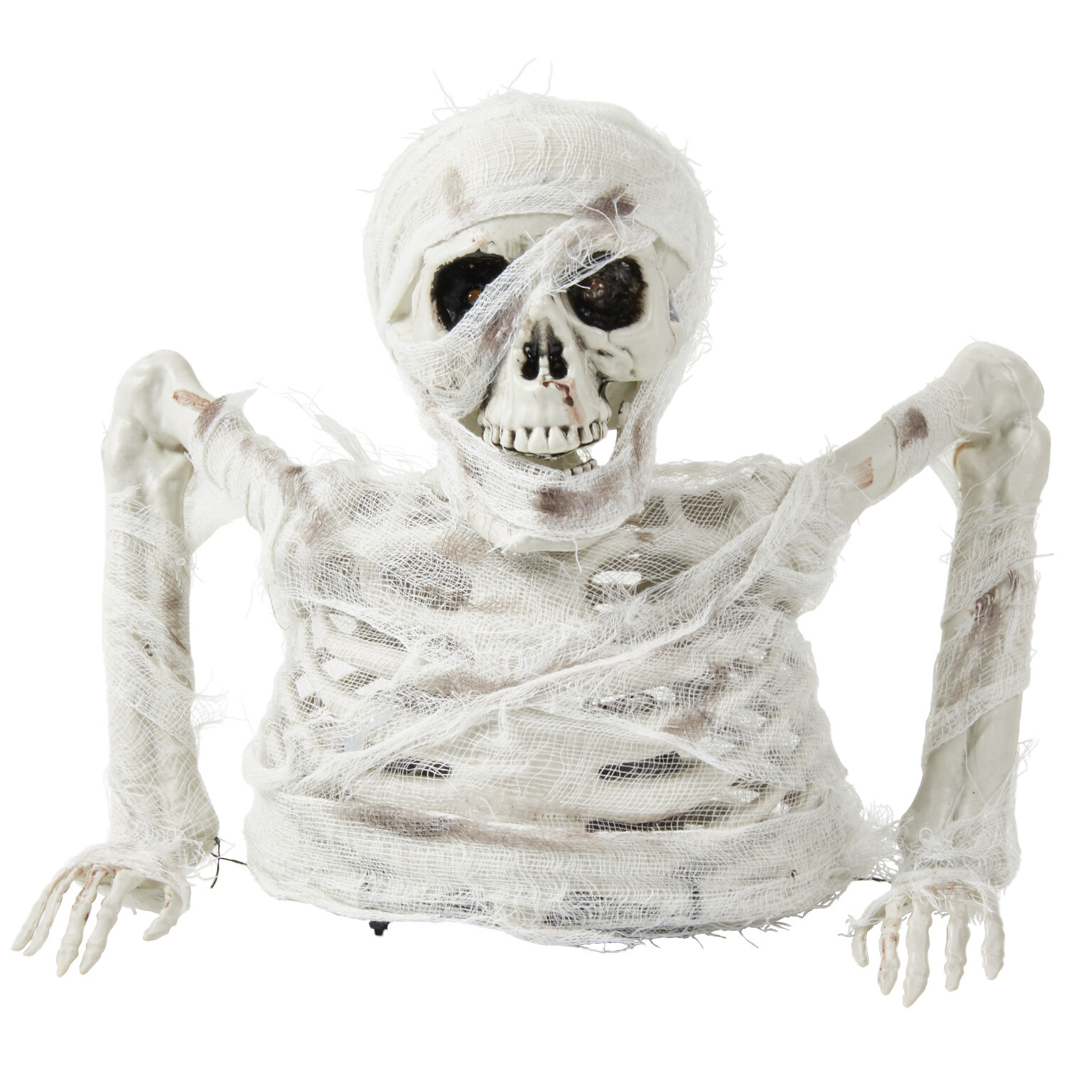 Skeleton Mummy White Image 1