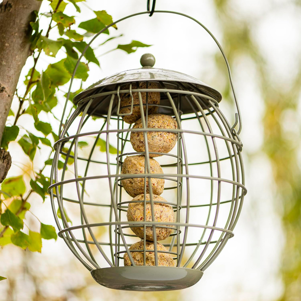 Thompson and Morgan Happy Beaks Orbital Squirrel Proof Fatball Feeder Image 3