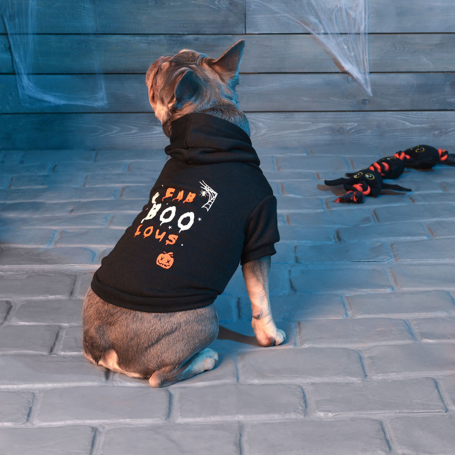 Halloween Pet Hoodie  - Black / 25cm Image 5