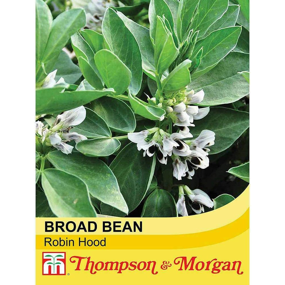 Thompson & Morgan Broad Bean Robin Hood 35 Seeds Packet Image 2