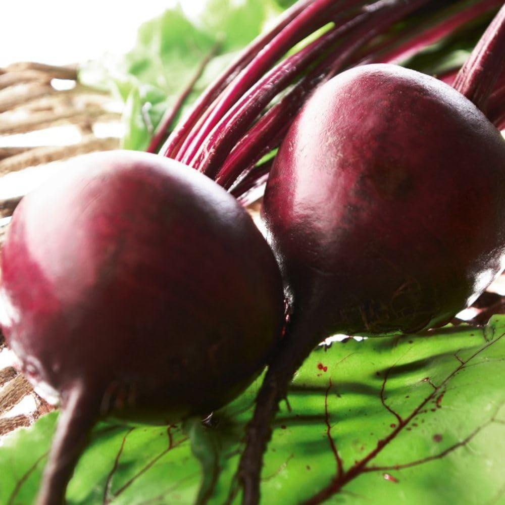 Thompson & Morgan Beetroot Boltardy Seeds Image 3