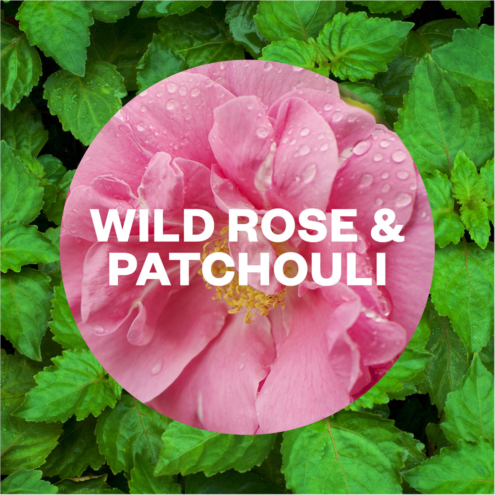 Air Wick Wild Rose & Patchouli Freshmatic Autospray Kit 250ml Image 2