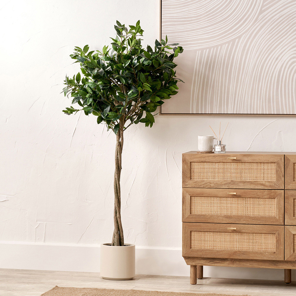 Pacific Lifestyle Bay Artificial Tree in White Pot 5ft Image 2