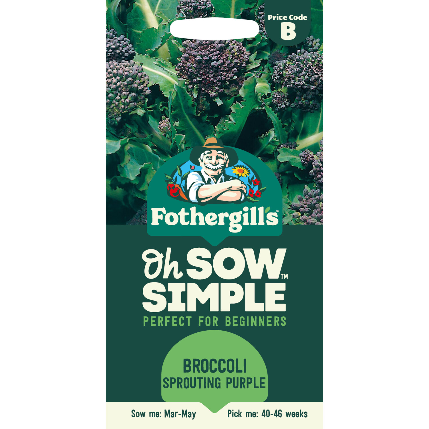 Broccoli Sprouting Purple Seeds Image 1