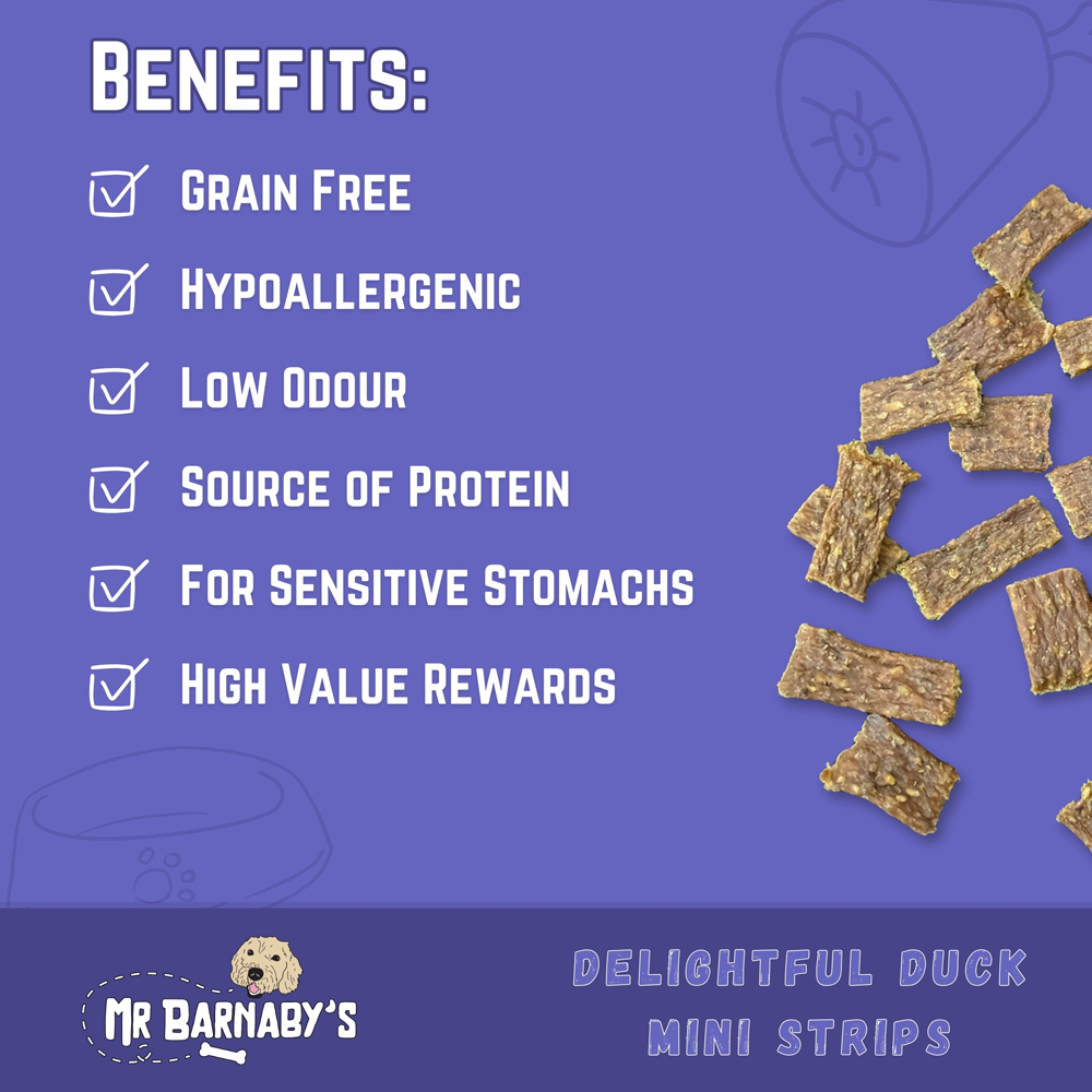Mr Barnaby's Delightful Duck Mini Strips Dog Treats 4 Pack Image 4