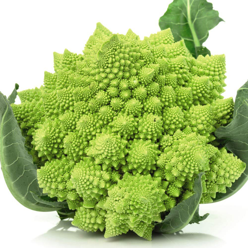 Thompson and Morgan Broccoli Romanesco Seeds Image 2
